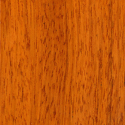 Cikel Cikel Leblon Engineered 3 1 / 4 Inch Brazilian Cherry Hardwood Flooring