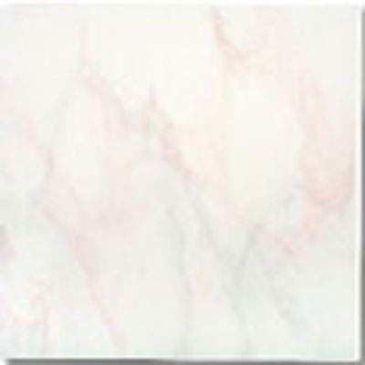 Alfagres Alfagres Marbleized 12 X 12 Verona Tile  &  Stone